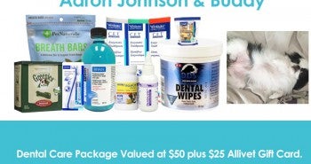 Allivet Giveaways