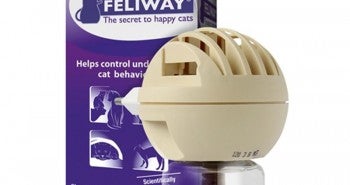 Feliway Diffuser at Allivet