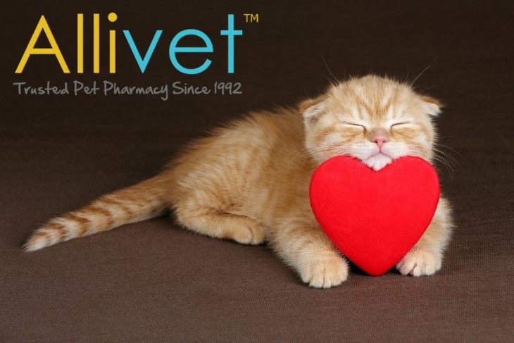Cat Heartworm Preventative