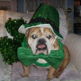 Allivet's March Pet Of The Month, Mac