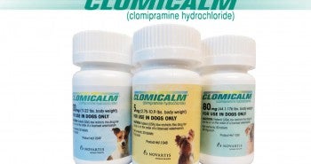 Best Prices on Clomicalm