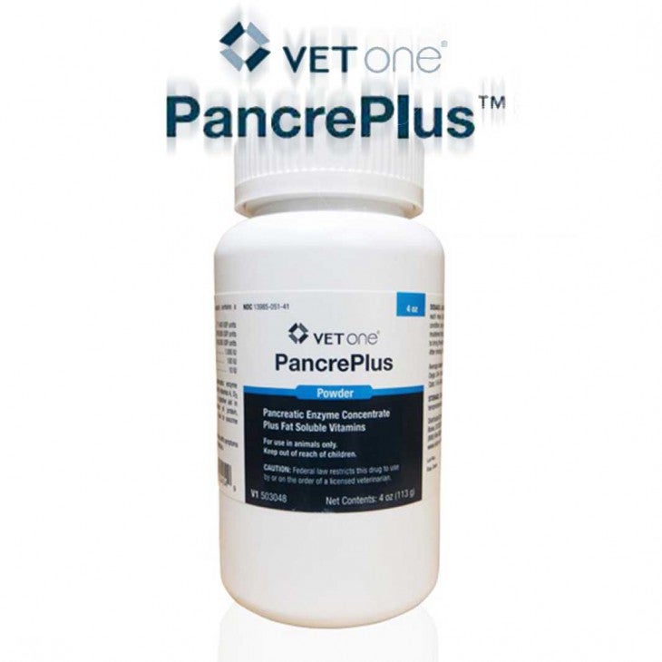 Best Prices on PancrePlus