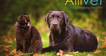 Animal Abuse Prevention