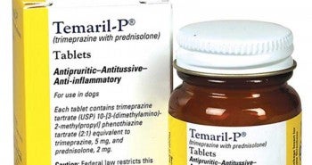 Cheapest Temaril-P Prices