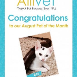 Allivet Pet of the Month