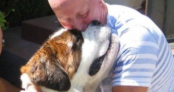 Learn How To Perform CPR on your dog