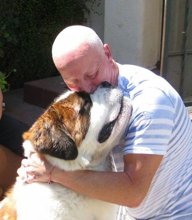 Learn How To Perform CPR on your dog