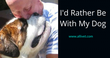 I'd Rather Be With My Dog