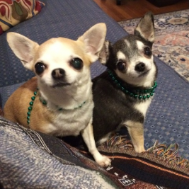 Cassidy and Steffie Gary W iPad