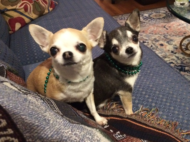 Cassidy and Steffie Gary W iPad