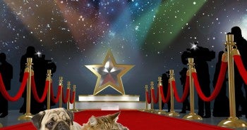 Should Animal Actors Receive OSCARS?