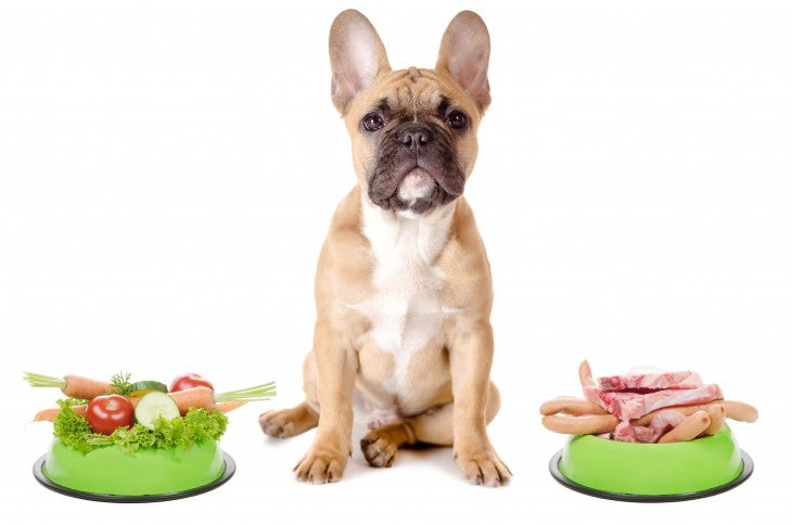 dog vegetables meat