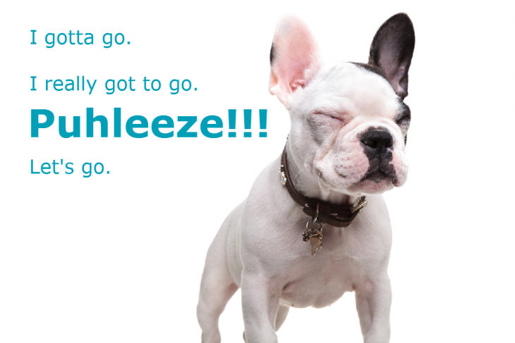 dog eyes closed incontinence
