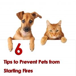 6 Tips to Prevent Pets from Starting Fires