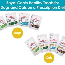 Royal Canin Treats for Dogs and cats