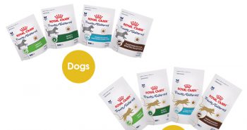 Royal Canin Treats for Dogs and cats