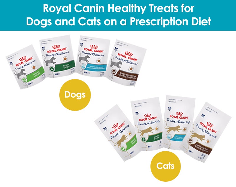 Royal Canin Treats for Dogs and cats