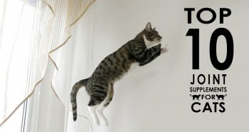 top 10 joint supplements for cats