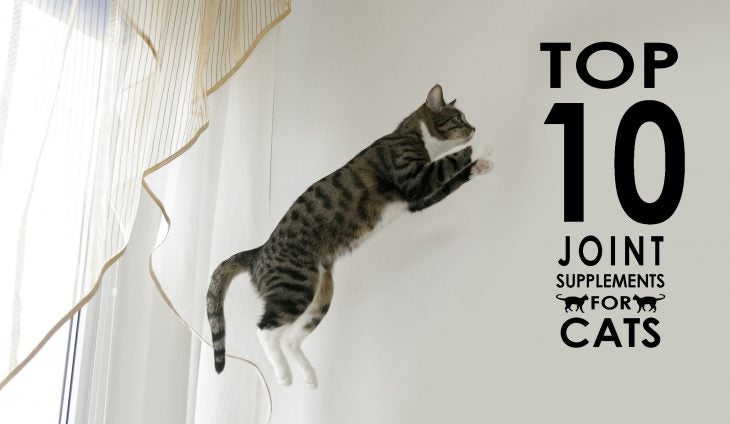 top 10 joint supplements for cats