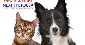 who will be the next first pet of the United States