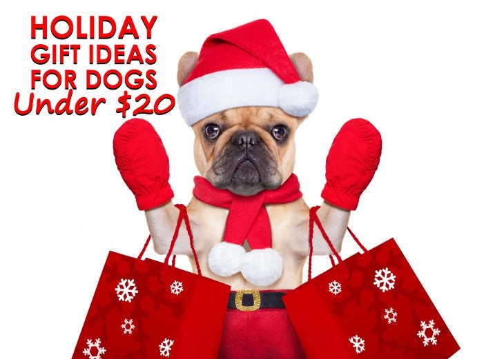 holiday gift ideas for dogs under $20