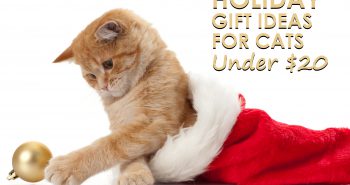 Holiday Gift Ideas for Cats Under $20