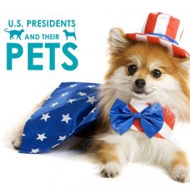 presidential-pets-us-presidents-pets