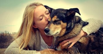 neurocare-dog-food-purina