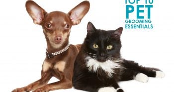 top 10 pet grooming essentials