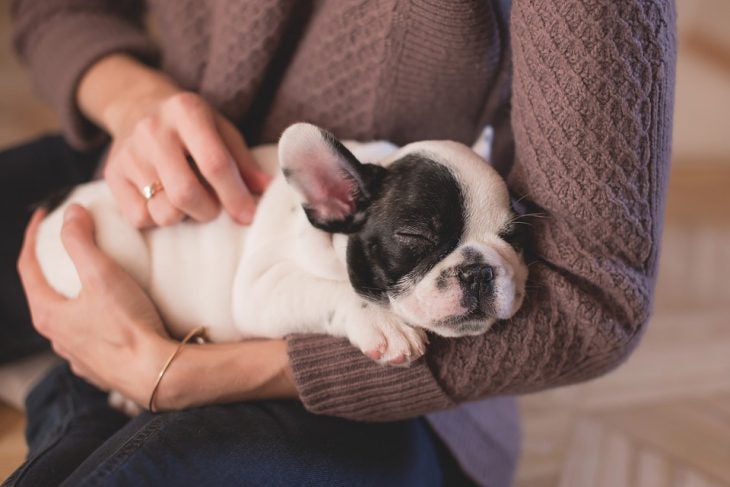 medication for healthy puppies